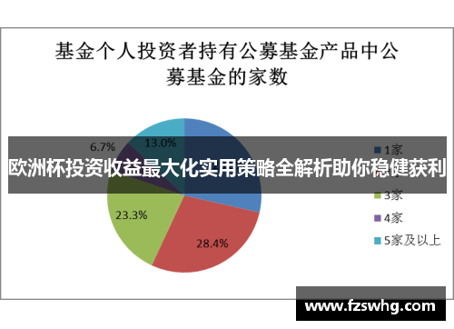 欧洲杯投资收益最大化实用策略全解析助你稳健获利
