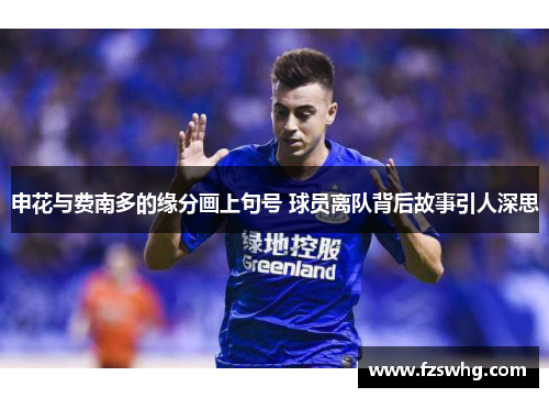 申花与费南多的缘分画上句号 球员离队背后故事引人深思